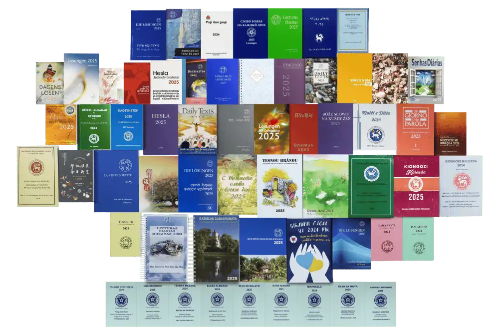 An image of 60 editions of the 2025 Moravian Daily Texts from around the world with different color covers in different languages.