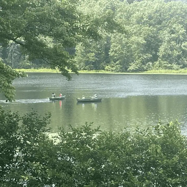 A very picturesque photo of two canoes in the middle of a greenish-blue lake. There are green leaves from trees and bushes in the foreground, and the opposite shore of the lake is lined with trees as well.