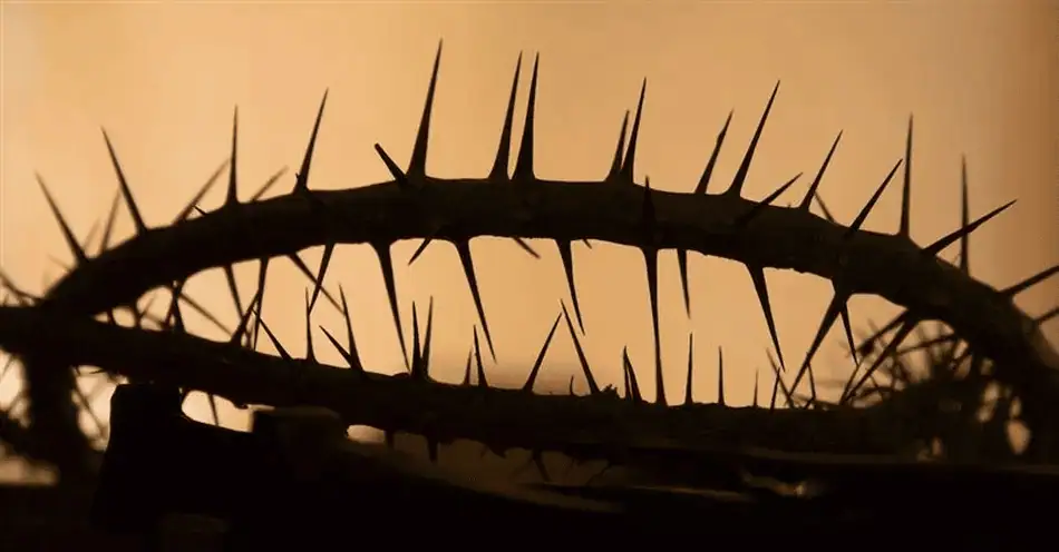 A dark silhouette of a crown of thorns against a background of orange that suggests the flickering glow of a fire.