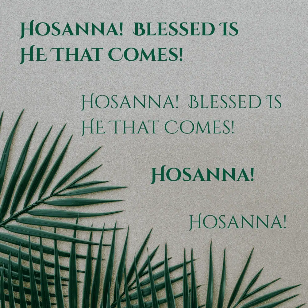 Against a grey background, dark green palms frame the left corner along the bottom of the picture, stretching to the right corner. The text reads: "Hosanna! Blessed is He that comes!" in a dark green bolded font. The words are then repeated below, but are not bolded to represent the call-and-response style of the song. The pattern is repeated with the word "Hosanna!"