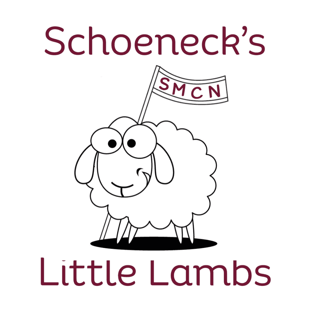 A clip-art image of a fluffy cartoon lamb holding a banner with the letters SMCN. The image has the words "Schoeneck's Little Lambs" in a cute burgundy font.