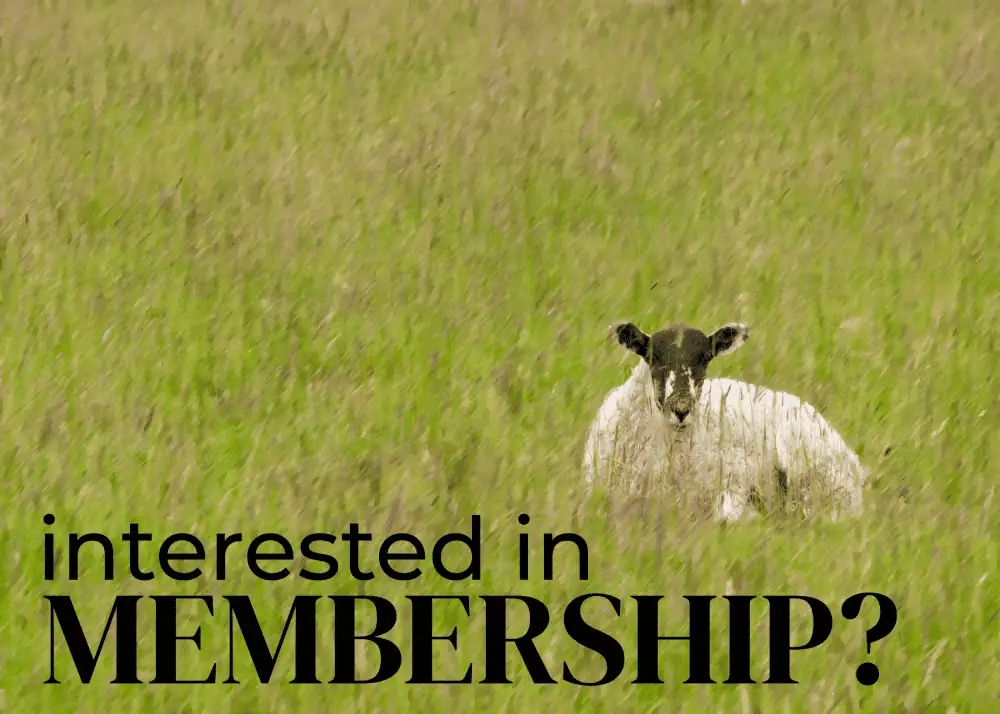 A white lamb with a black face lies in a field of green grass. The words "Interested in membership?" are printed under the lamb.