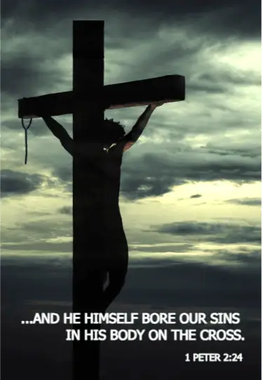 A photo of a Jesus on the cross in silhouette beneath a stormy grey and yellow sky. The scripture verse from 1 Peter 2:24 "...And he himself bore our sins in his body on the cross."