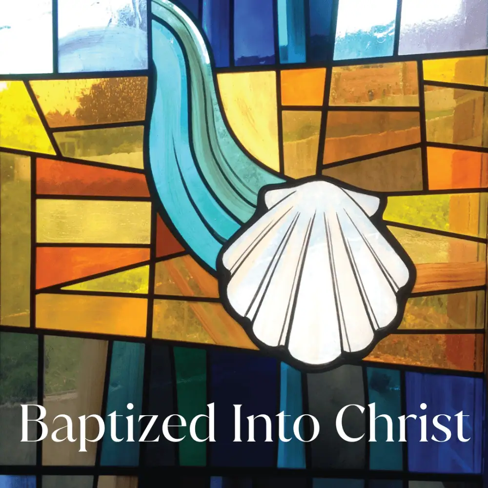 An image of a stained glass window featuring a white shell with water flowing from it. The text on the image reads "Baptized Into Christ."