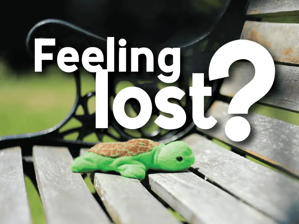 A clos-up photo of a small turtle stuffed animal sitting on a park bench. The text reads: Feeling Lost?