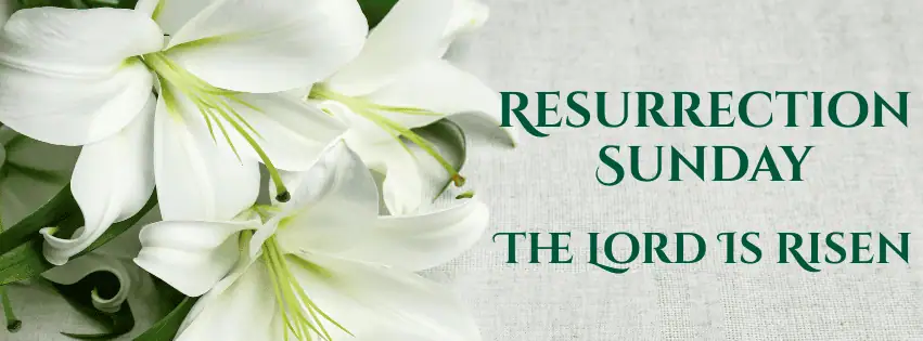 A wide image with three white Easter lilies on the left side. On the right side is a white linen background with the words "Resurrection Sunday - The Lord Is Risen" in dark green decorative all caps.