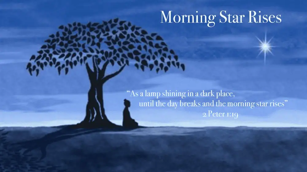 The image is in different shades of blue for the sky and the ground. There is a black tree with a person sitting under it. One bright star shines in the sky. The text reads: Morning Star Rises with this scripture from 2 Peter 1:19 - As a lamp shining in a dark place, until the day breaks and the morning star rises.
